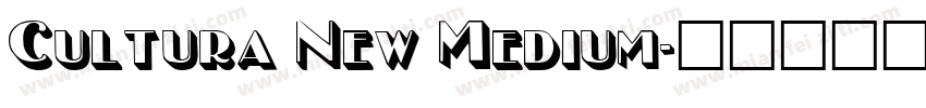 Cultura New Medium字体转换